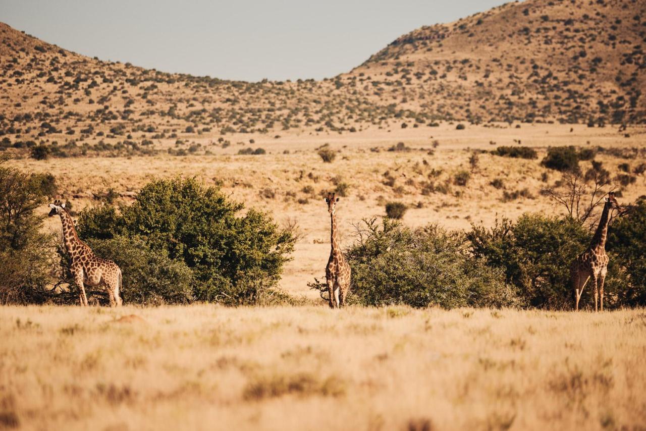 Glen Harry Game Reserve Graaff-Reinet Exteriér fotografie